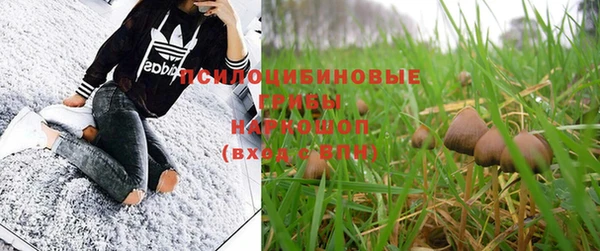 эйфоретик Белоозёрский