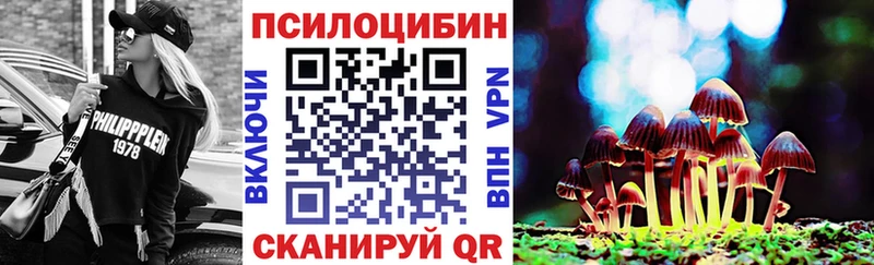 Галлюциногенные грибы Psilocybe Волосово